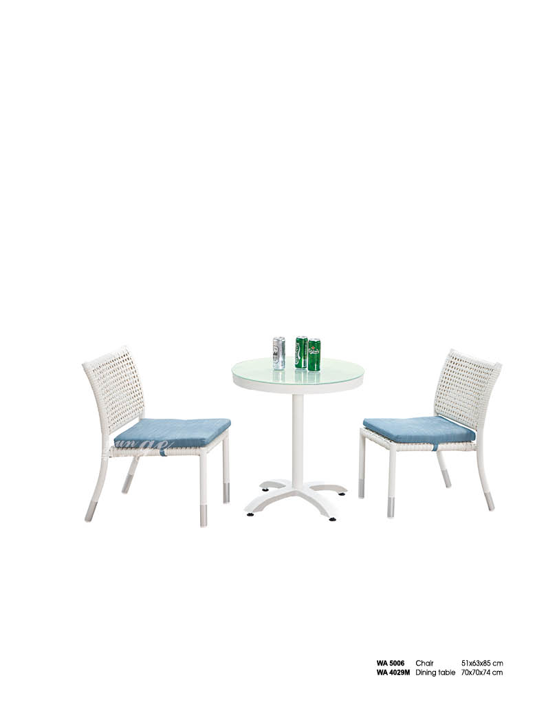 WA4029 Dining set.jpg